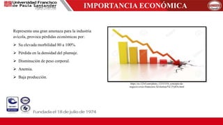 IMPORTANCIA ECONÓMICA
Representa una gran amenaza para la industria
avícola, provoca pérdidas económicas por:
 Su elevada morbilidad 80 a 100%.
 Pérdida en la densidad del plumaje.
 Disminución de peso corporal.
 Anemia.
 Baja producción.
https://es.123rf.com/photo_12331318_concepto-de-
negocio-crisis-financiera-3d-ilustraci%C3%B3n.html
 