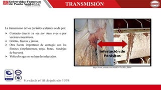TRANSMISIÓN
La transmisión de los parásitos externos se da por:
 Contacto directo ya sea por otras aves o por
vectores mecánicos.
 Grietas, fisuras y jaulas.
 Otra fuente importante de contagio son los
fómites (implementos, ropa, botas, bandejas
de huevos).
 Vehículos que no se han desinfectados.
https://www.youtube.com/watch?v=7vE8TO_9JNw
 