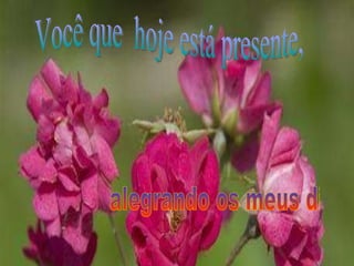Você que  hoje está presente, alegrando os meus dias 
