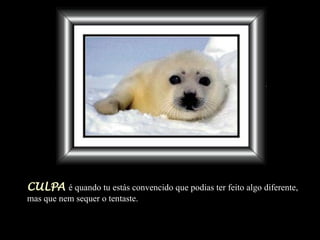 CULPA   é quando tu estás convencido que podias ter feito algo   diferente, mas que nem sequer o tentaste. 