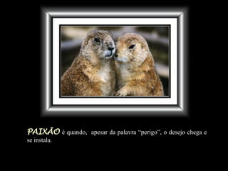 PAIXÃO   é quando,  apesar da palavra “perigo”, o desejo chega e se instala. 