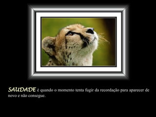 SAUDADE   é quando o momento tenta fugir da recordação para aparecer de novo e não consegue. 