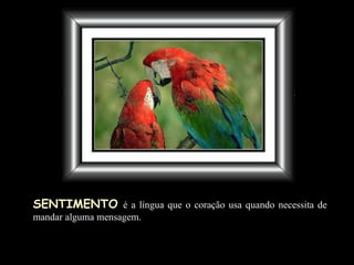 SENTIMENTO   é a língua que o coração usa quando necessita de mandar alguma mensagem. 