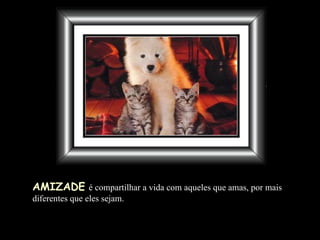 AMIZADE   é compartilhar a vida com aqueles que amas, por mais diferentes que eles sejam. 