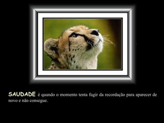 SAUDADE   é quando o momento tenta fugir da recordação para aparecer de novo e não consegue. 