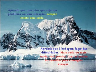 Aprendi que, por pior que seja um problema ou uma situação,  sempre existe uma saída. Aprendi que é bobagem fugir das dificuldades.  Mais cedo ou mais tarde, será preciso tirar as pedras do caminho para conseguir avançar. 