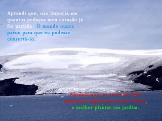 Aprendi que, não importa em quantos pedaços meu coração já foi partido.  O mundo nunca parou para que eu pudesse consertá-lo. Aprendi que, ao invés de ficar esperando alguém me trazer flores ,  e melhor plantar um jardim. 
