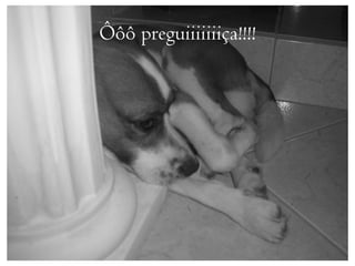 Ôôô preguiiiiiiiça!!!!
 