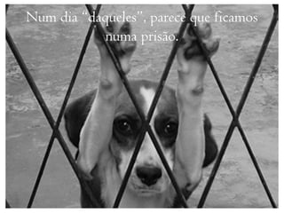Num dia “daqueles”, parece que ficamos
            numa prisão.
 