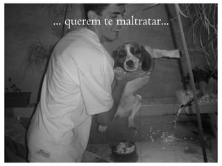 ... querem te maltratar...
 