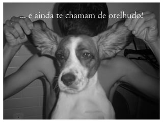 ... e ainda te chamam de orelhudo!
 