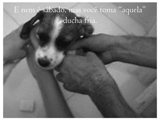 E nem é sábado, mas você toma “aquela”
              ducha fria.
 