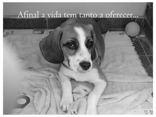 Afinal a vida tem tanto a oferecer...
 