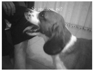 Se animou, né?
 