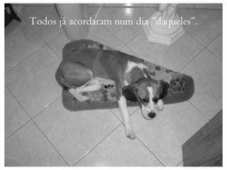 Todos já acordaram num dia “daqueles”.
 