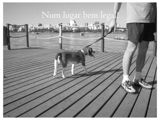 Num lugar bem legal!
 