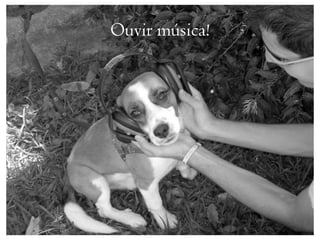 Ouvir música!
 