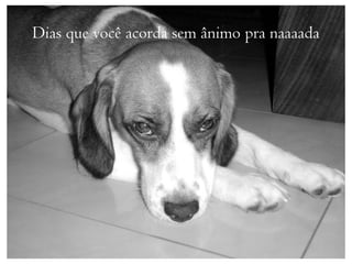 Dias que você acorda sem ânimo pra naaaada
 