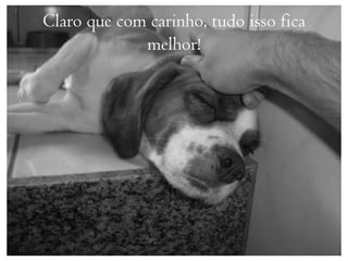 Claro que com carinho, tudo isso fica
             melhor!
 