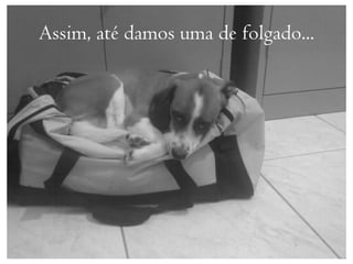 Assim, até damos uma de folgado...
 