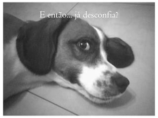 E então... já desconfia?
 