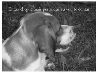 Então chegue mais perto que eu vou te contar
 