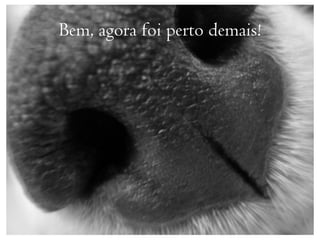 Bem, agora foi perto demais!
 