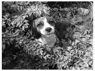 O segredo é o bom-humor!!!
 