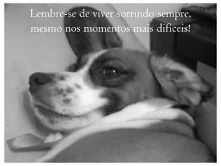 Lembre-se de viver sorrindo sempre,
mesmo nos momentos mais difíceis!
 