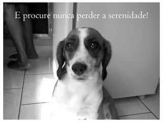 E procure nunca perder a serenidade!
 