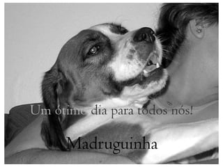 Um ótimo dia para todos nós!

      Madruguinha
 