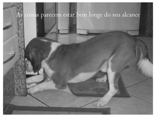 As coisas parecem estar bem longe do seu alcance
 