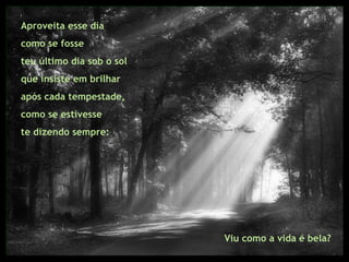 Aproveita esse dia  como se fosse  teu último dia sob o sol  que insiste em brilhar  após cada tempestade,  como se estivesse  te dizendo sempre:  Viu como a vida é bela? 