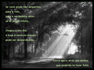 Se você ainda não despertou  para a vida,  para o verdadeiro amor,  se te julgas infeliz,  chegou o seu dia:  é hoje e nenhum minuto  pode ser desperdiçado... Corre agora atrás dos sonhos  que poderão te fazer feliz. 