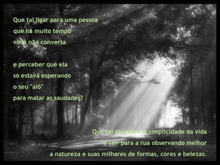 Que tal ligar para uma pessoa que há muito tempo  você não conversa  e perceber que ela  só estava esperando  o seu "alô"  para matar as saudades? Que tal descobrir a simplicidade da vida  e sair para a rua observando melhor  a natureza e suas milhares de formas, cores e belezas.  