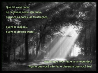 Que tal você parar  de reclamar nesse dia lindo,  esquece as dores, as frustrações, quem te magoou,  quem te deixou triste... Aquilo que você fez e se arrependeu!  Aquilo que você não fez e disseram que você fez!  