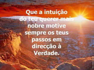 Que a intuição do teu querer mais nobre motive sempre os teus passos em direcção à Verdade. 