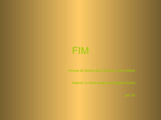 FIM Parque da Quinta das Conchas e dos Liláses ‘ Gabriel’ in Viola Quebrada (Rogério Gulin) Jan. 07 