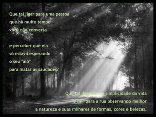 Que tal ligar para uma pessoa que há muito tempo  você não conversa  e perceber que ela  só estava esperando  o seu "alô"  para matar as saudades? Que tal descobrir a simplicidade da vida  e sair para a rua observando melhor  a natureza e suas milhares de formas, cores e belezas.  