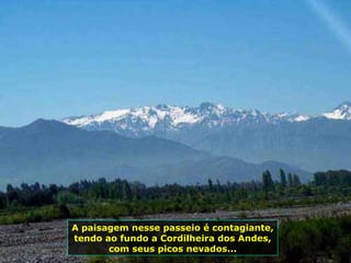 A paisagem nesse passeio é contagiante, tendo ao fundo a Cordilheira dos Andes, com seus picos nevados... 