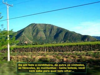 De um lado a cordilheira, de outro os vinhedos, as fazendas, as montanhas - tanta beleza, você nem sabe para qual lado olhar... 