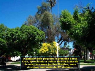 O passeio pela pequena e graciosa Santa Cruz, apreciando a beleza de sua Praça de Armas, com seus jardins floridos, suas vinícolas, com mais de 27 vinhas...  