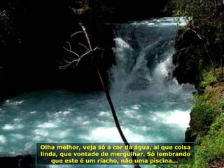 Olha melhor, veja só a cor da água, ai que coisa linda, que vontade de mergulhar. Só lembrando que este é um riacho, não uma piscina...  