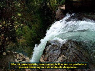 Não dá para resistir, tem que subir lá e ver de pertinho a pureza dessa água e de onde ela despenca... 