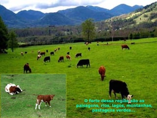 O forte dessa região são as paisagens, rios, lagos, montanhas, pastagens verdes...  