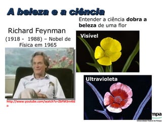 http://www.youtube.com/watch?v=ZbFM3rn4ldo Richard Feynman (1918 -  1988) – Nobel de Física em 1965 A beleza e a ciência Entender a ciência  dobra a beleza  de uma flor Visível Ultravioleta 