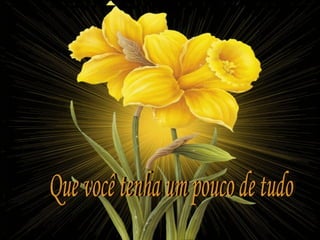 Que você tenha um pouco de tudo 