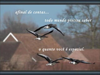 afinal de contas... o quanto você é especial. todo mundo precisa saber 