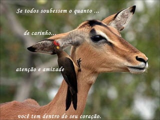 atenção e amizade Se todos soubessem o quanto ... você tem dentro do seu coração.  de carinho...  