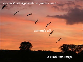 mas você vai segurando as pontas aqui... correndo ali... e ainda tem tempo 